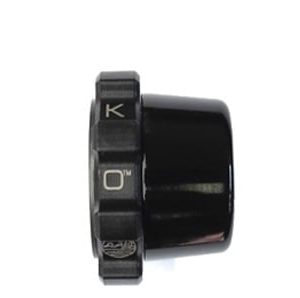 KAOKO CRUISE CONTROL