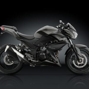 Z300 ABS 2015