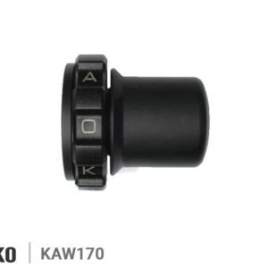 KAOKO CRUISE CONTROL