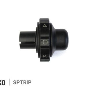 KAOKO CRUISE CONTROL
