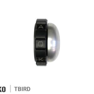 KAOKO CRUISE CONTROL