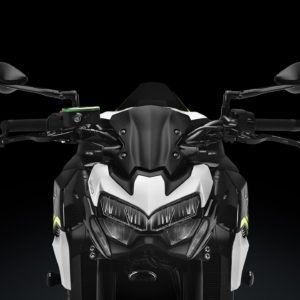 RIZOMA Z900