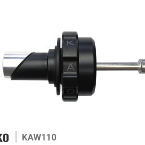 KAOKO CRUISE CONTROL